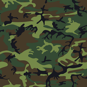 Camouflage Fabric